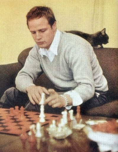 XXX gatabella: Chess Brigitte Bardot, Catherine photo