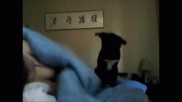 slutmuffinjade:  he’s a good boy.  Unconditionally!!