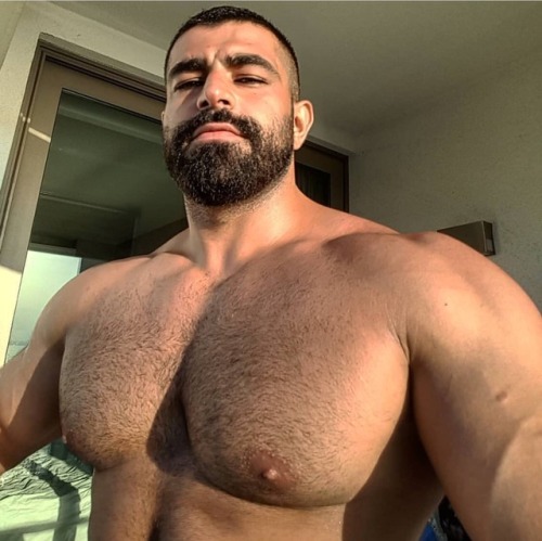 Porn Big muscles photos