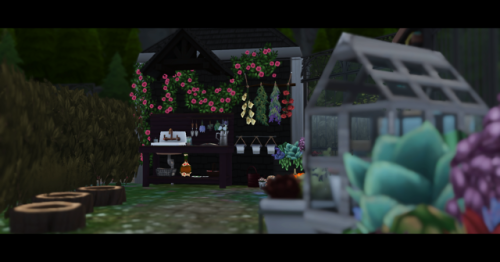 little witch cottage