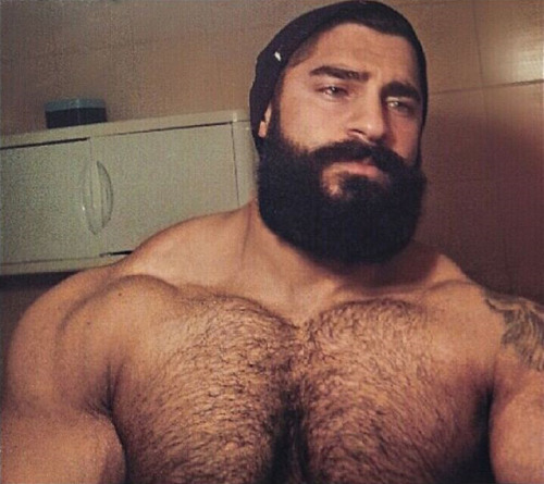 Porn photo Awesome pecs, great hairy chest, this is