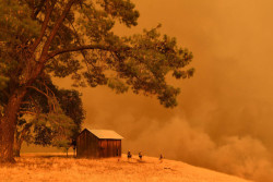 dk-thrive:  Firefighters watch as flames from a wildfire climb a hillside in Guinda, Calif. Californian authorities have issued red-flag weather warnings and mandatory evacuation orders after a series of wildfires fanned by high winds and hot temperatures