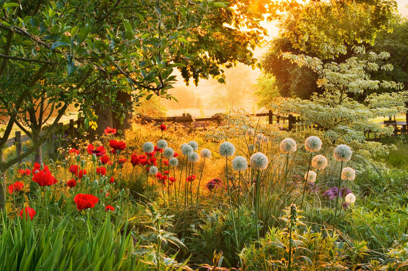 floralls:    PETTIFERS GARDEN, OXFORDSHIRE   by  Clive Nichols     