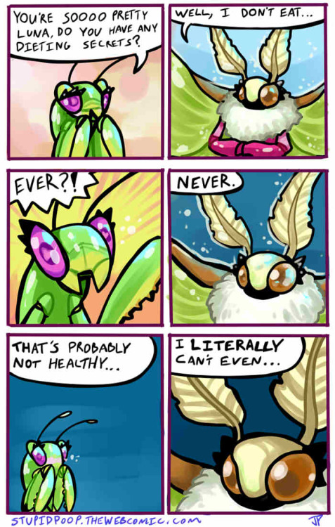 kaiju-hugs:  coverop:  jugglingdinosaur:  All of Mantis and Cicada chapter 1 in order. Chapter 2 coming out soon!Check out more of my webcomics here:http://stupidpoop.thewebcomic.com/  It’s the first time I see bugs being cute.  @musagi-tan   > u<