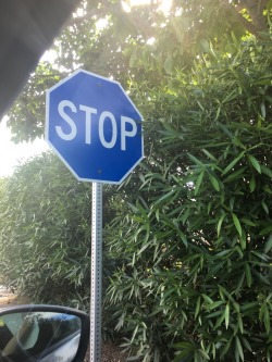 7sukiyama:  *just think of blue stop signs