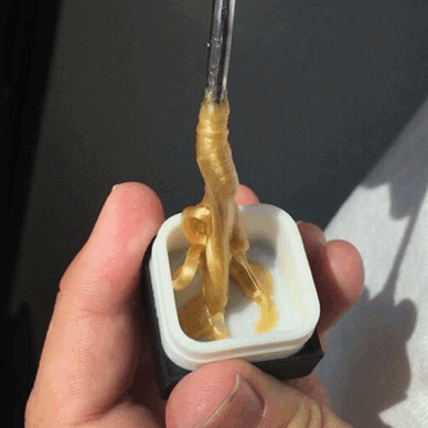righteous-vibes:Gorilla Glue x White Widow ✨ Stellar Extractions