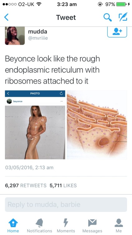 flaccidrap:surprisebitch:bellanochesofficial:fkatwigs:jesus christ the nighti love physics :)#isnt t