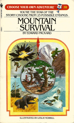 Choose Your Own Adventure No. 28: Mountain Survival, By Edward Pickard. Illustrated