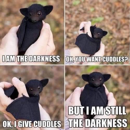 I Identify As This Bat. 