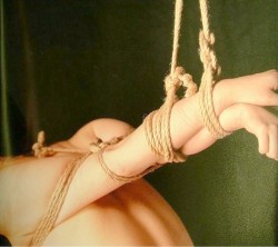 blackshivers:  The kinbaku binds only the