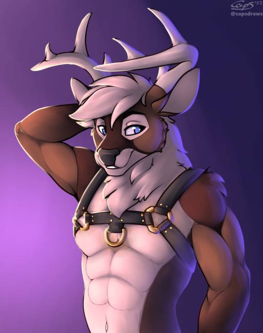 Lets ssee how Tumblr feels about a suggestive but not lewd pictures of bucks. 