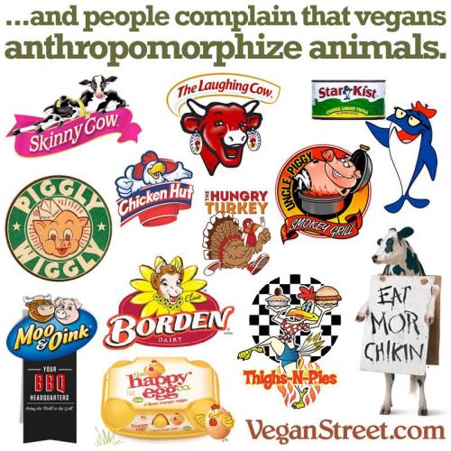 carnistssaythedarndestthings:By Vegan Street