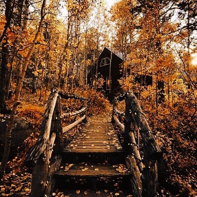 She Wolf Autumn Aesthetic She Wolf Autumn Aesthetic