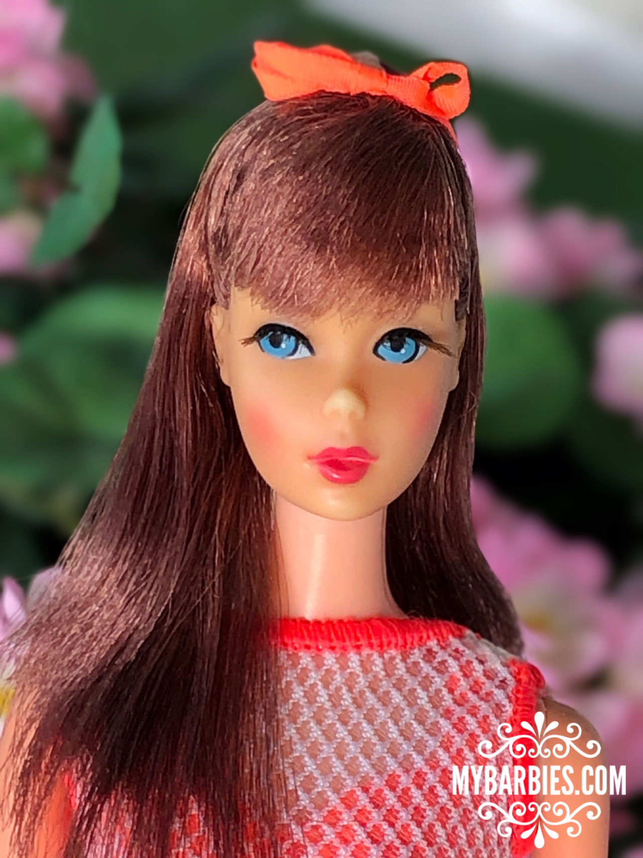 Barbie doll cherry pvs-hawaii.com: Barbie