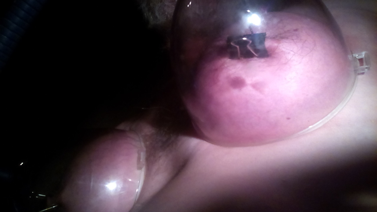 Schweinetitten