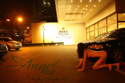 beijingangel:  我在这儿~