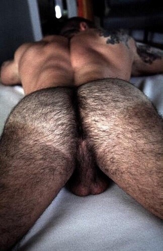 Hairy Hairy Hairy