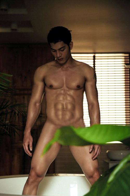 https://male-dreams-blog.tumblr.com/post/118350871655