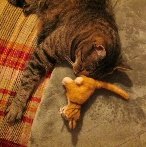 ohnopicturesofanothercat: Utley asleep with his little buddy, and his head on his favorite cover. Al