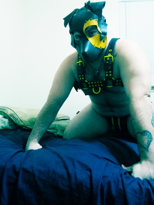 Porn thattrashypup:Felt like pupping out photos