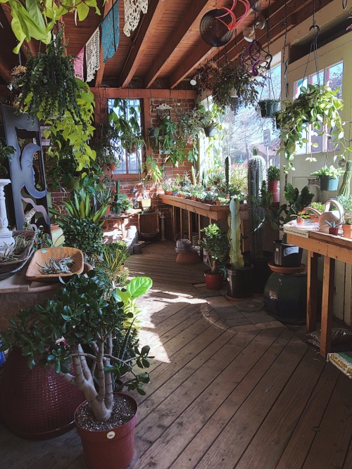 The Herbery, Denver CO