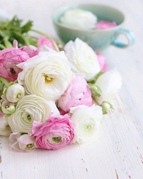All Things Shabby and Beautiful