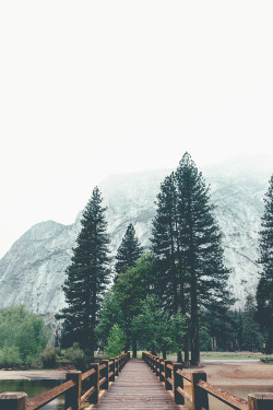 Yosemite | Photographer © | IG | AOI