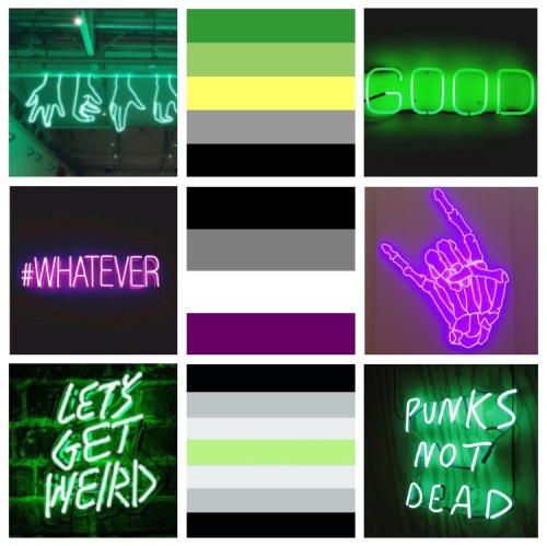 lgbtqedits:aroace agender moodboard with neon lights for phormaldehyde