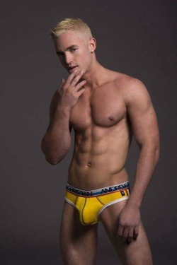 bulges briefs speedos...