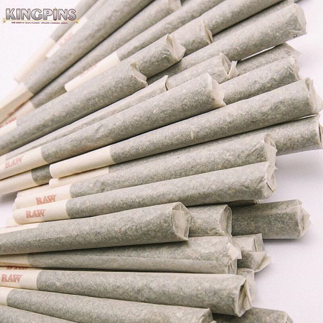 weedporndaily:  Getting ready for @theseattlehempfest TKO style, handfuls of #Kingpins
