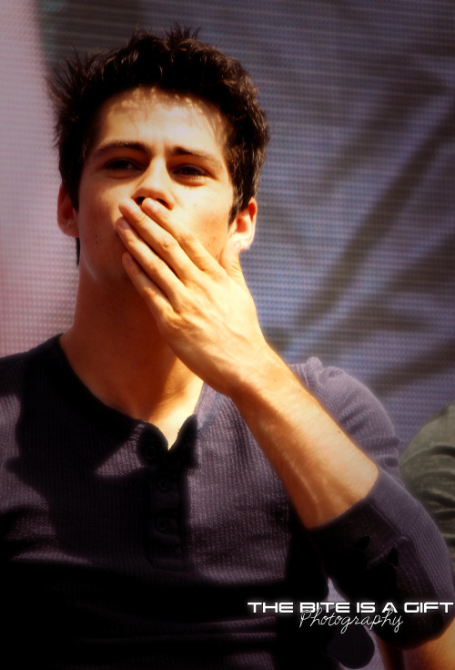 Mr Heartbreaker Dylan O'Brien. Just sended a air kiss to a fan <3 @AlphaCon 2014 (please do not r