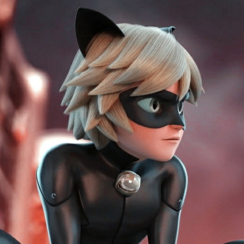 Cat Noir Aesthetic Pfp - jestembeznadziejna