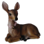 deerlita