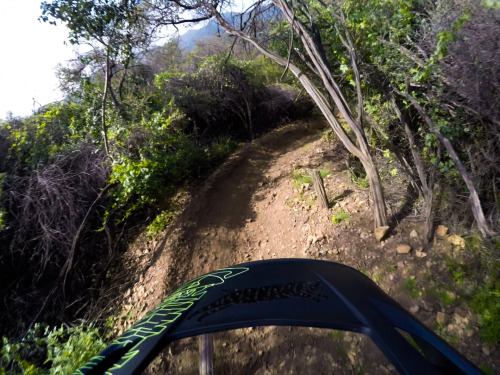 thebikecomesfirst: The most ‘enduro’ Easter ever; Shredding sweet chocolate-brown berms. Samurai Tra