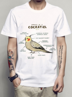 cutebutphycho1988: Tumblr Aesthetic Shirts  Cockatiel // NASA  Butterfly // Flower  Love // Dinosaur  NASA // Astronaut   Powered // Tea shirt  These Items are as low as ฝ.95 !! 