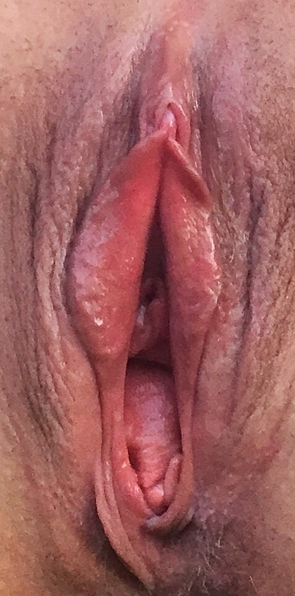 bigpussykat:  “THE KATHERINE GAPE&quot;😈
