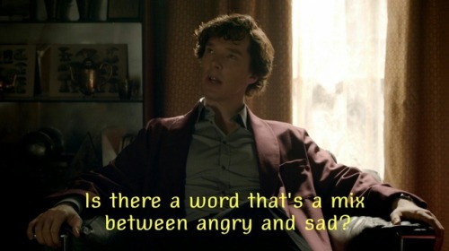 incorrectbbcsherlockquotes: -Incorrect BBC Sherlock Quotes- 1,000 followers celebration! Original [x