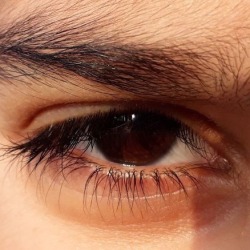 astralsi:yo&hellip; dark brown eyes appreciation post