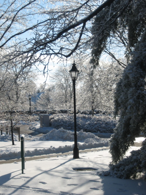 Photo: Illinois Wesleyan University, Bloomington, IL