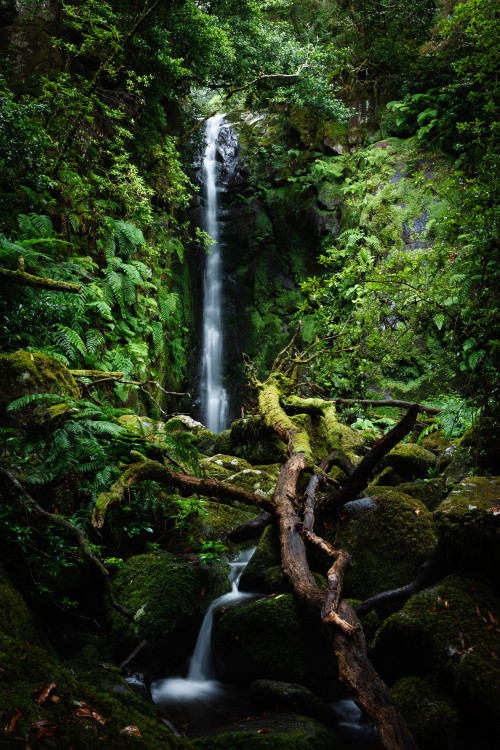 Poço das Pulgas by Ricardo PestanaFacebook | 500px | Instagram