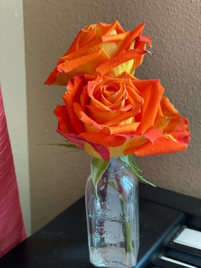 Porn photo musesmischief:These roses are so pretty.