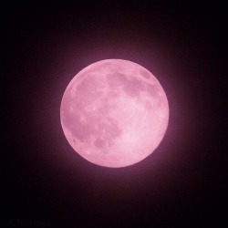 Sex replaysgf-deactivated20210116:the moon is pictures