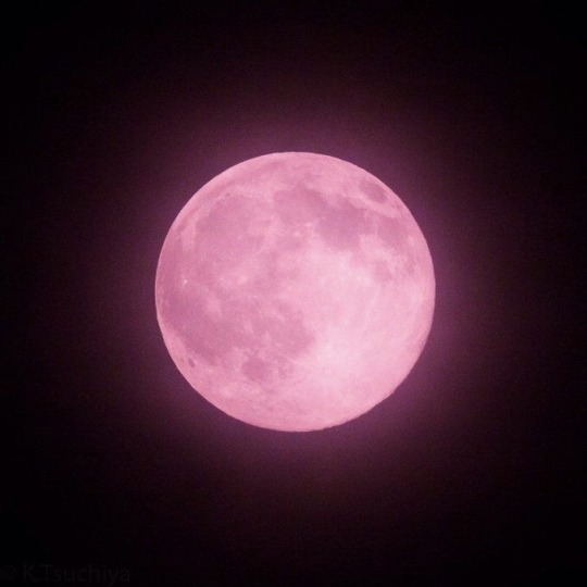 Porn photo replaysgf-deactivated20210116:the moon is