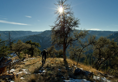 fuckyeahmountainbiking: Down Pinkham on Flickr.