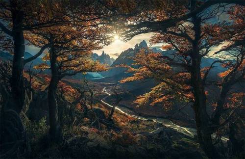 fifineller:by Max Rive