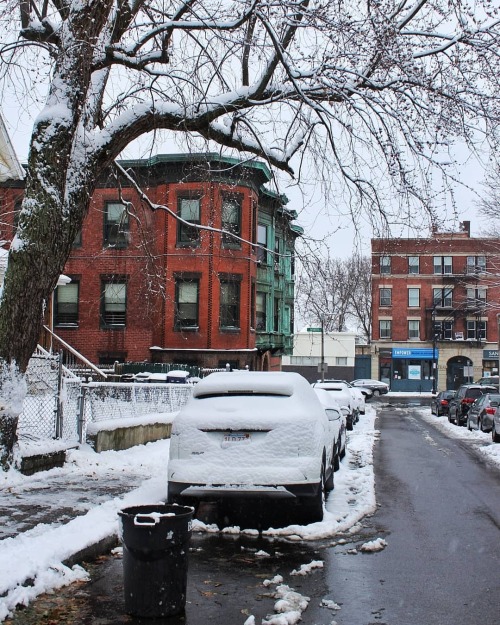 Dorchester Street ❄ When the snow fell Monday and Tuesday this week it created some photo worthy pic