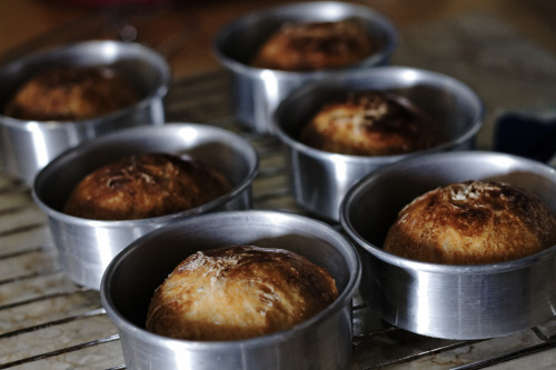 Baking Bread porn pictures