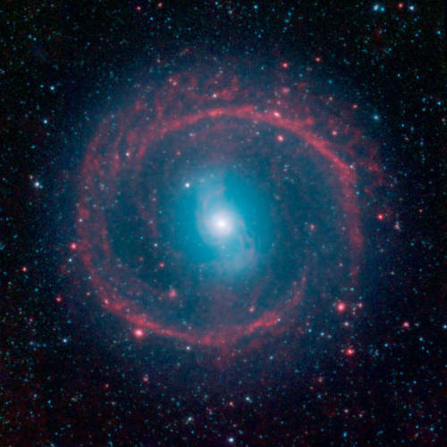 NGC 1291 This 12 Billion Year Old Barred Galaxy Is Located In The Eridanus Constellation. Young Stars