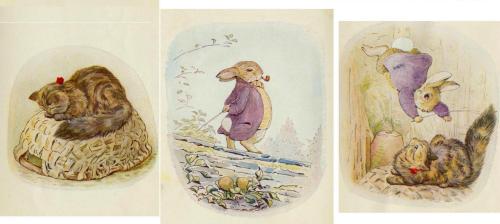 peterrabbit2007:A couple of cute Beatrix Potter illustrations from her children’s books.