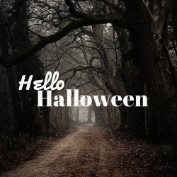 https://69.media.tumblr.com/6065bddb357be9e2429d9422d7794fb9/tumblr_mva38cpQMN1sceql4o1_500.jpg